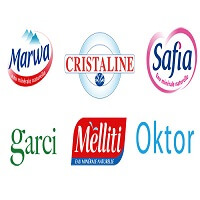 logo société SOSTEM